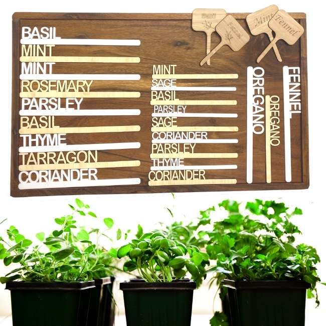Herb Identifier Stakes for pots - Minimalist (Small 15cm x 2cm)