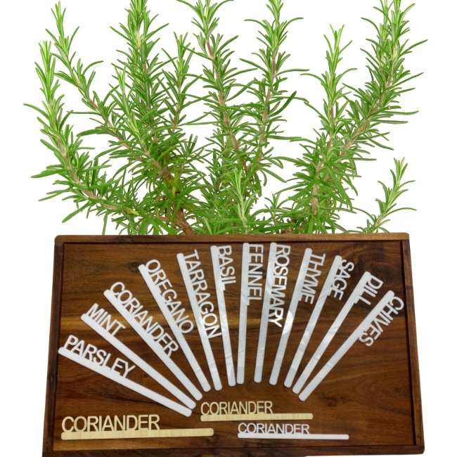 Herb Stakes for Gardens - Minimalist (Medium 20cm x 3cm)