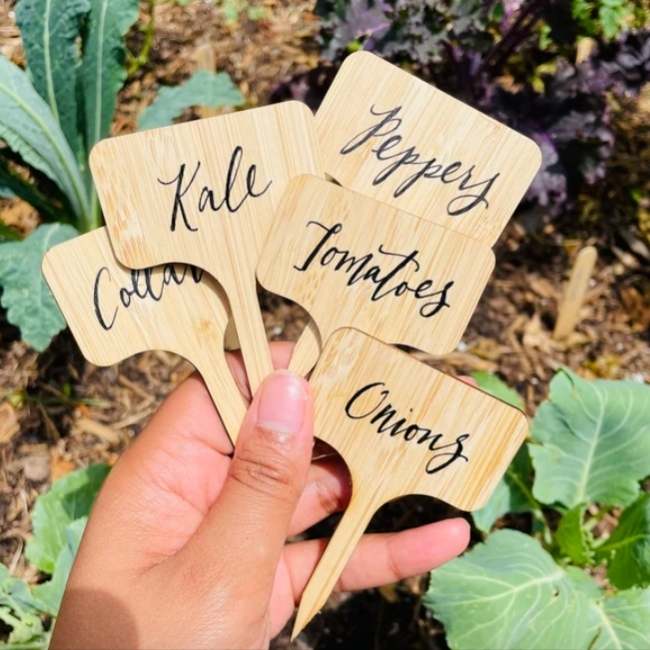 Vegetable Identifier Stakes - Paddle Style (Small)